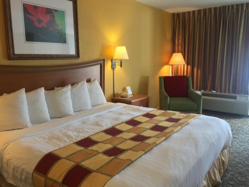 Budget Inn Sanford International Airport - image 15