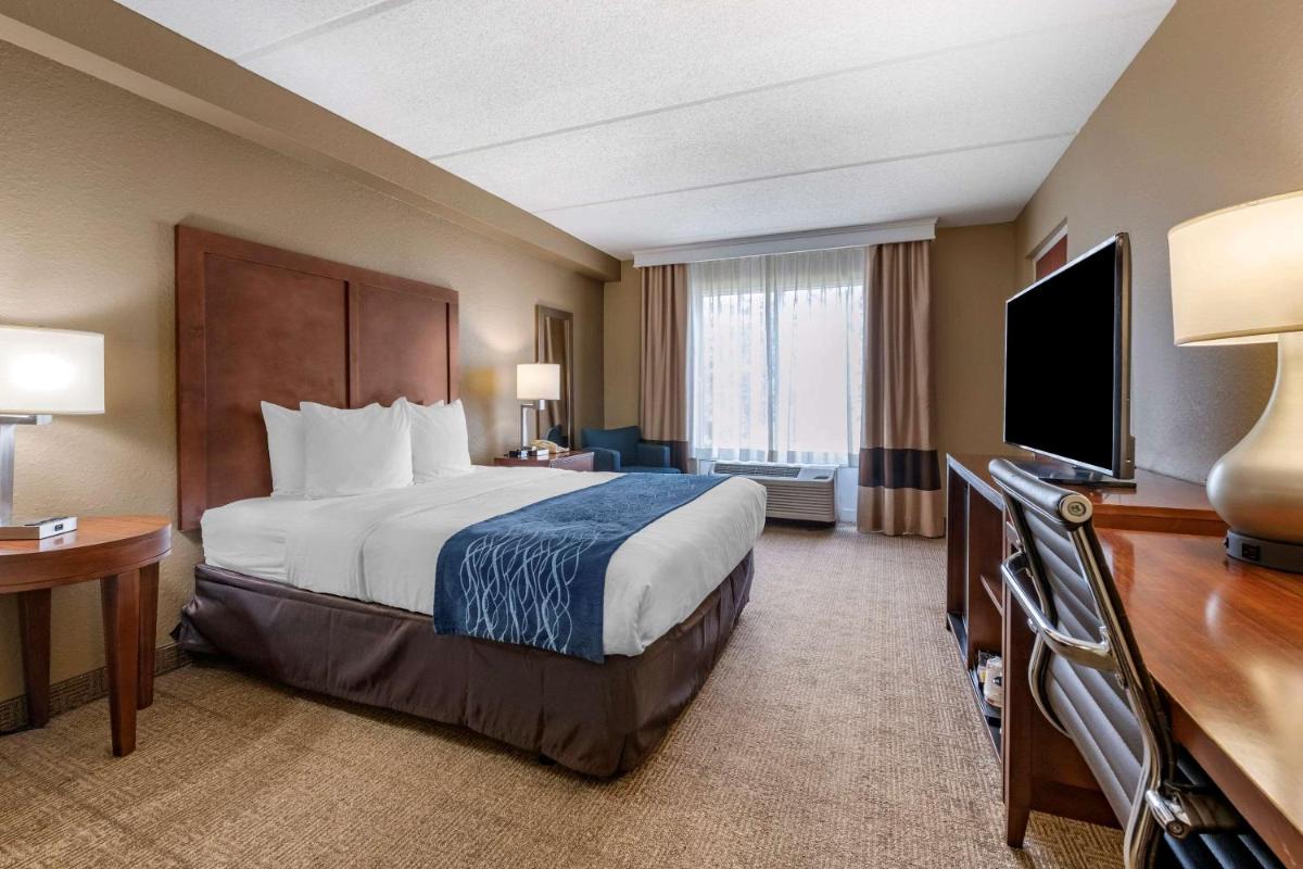 Comfort Inn & Suites Orlando North - image 2