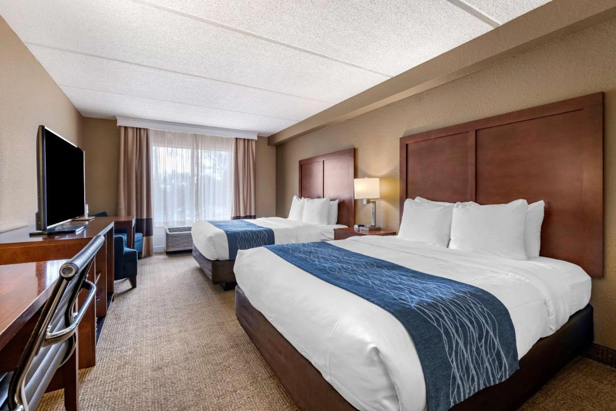 Comfort Inn & Suites Orlando North - image 3