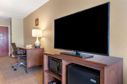 Comfort Inn & Suites Orlando North - image 8