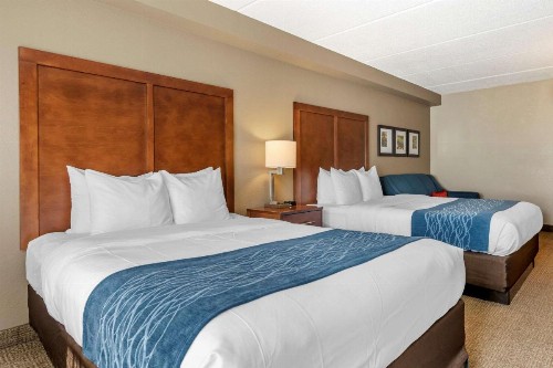 Comfort Inn & Suites Orlando North - image 9