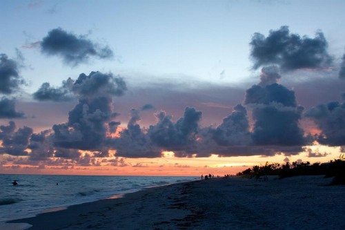 Island Inn - image 10