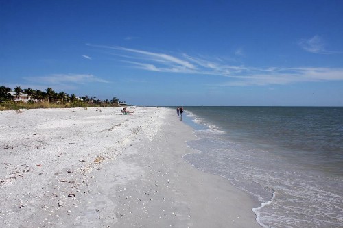 Island Inn - image 16
