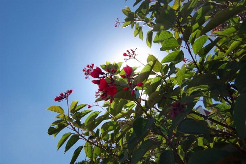 Pointe Santo #C24 - image 35