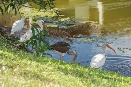 Pointe Santo #C24 - image 7