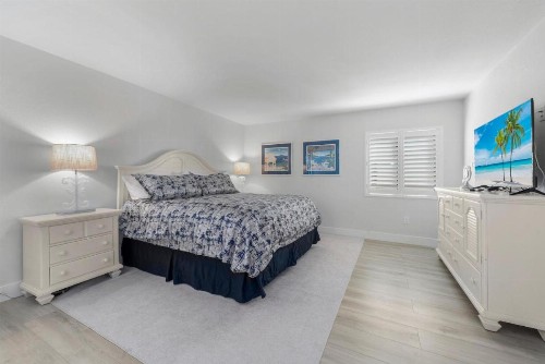 Sanddollar #A201 - image 21