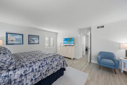 Sanddollar #A201 - image 22