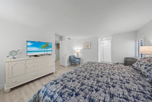 Sanddollar #A201 - image 24