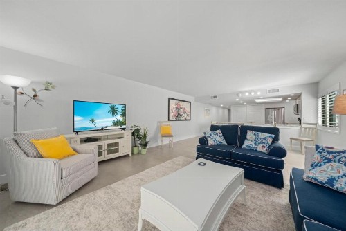 Sanddollar #A201 - image 4