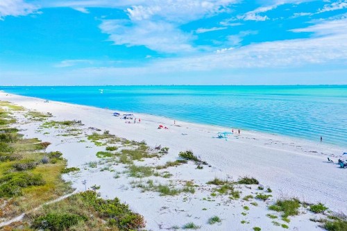 Sanddollar #A201 - image 41