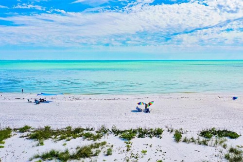 Sanddollar #A201 - image 45