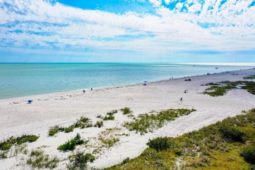 Sanddollar #A201 - image 47