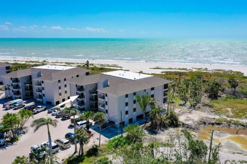 Sanddollar #A201 - image 50