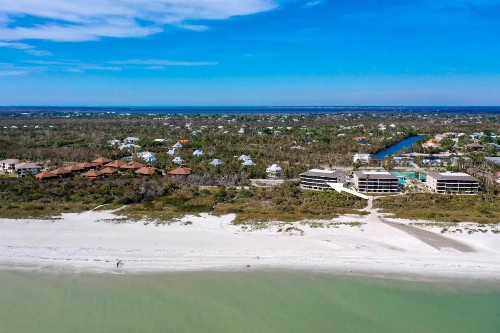 Sanddollar #A202 - image 15