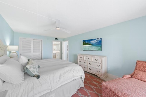 Sanddollar #A202 - image 19