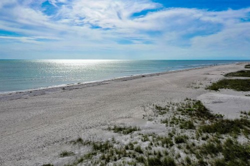 Sanddollar #A202 - image 20