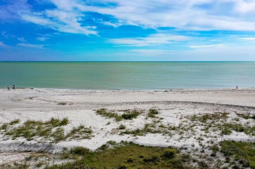 Sanddollar #A202 - image 22