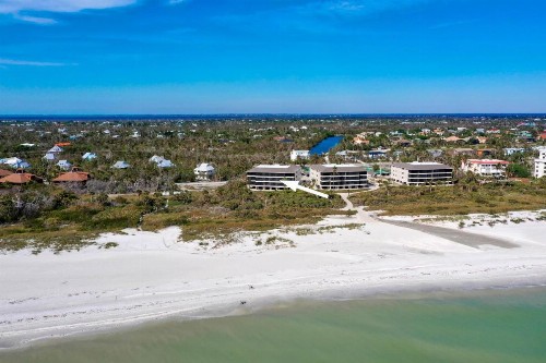 Sanddollar #A202 - image 29