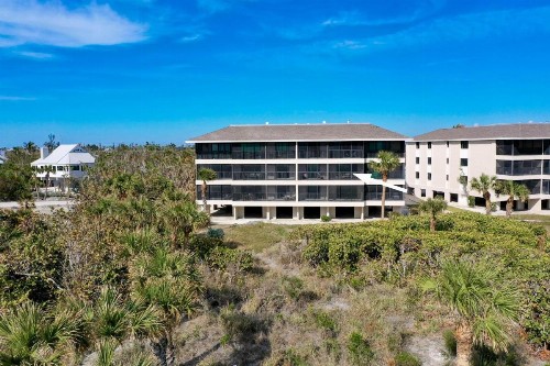 Sanddollar #A202 - image 3