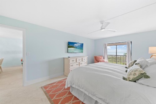 Sanddollar #A202 - image 32