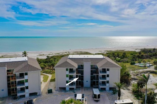 Sanddollar #A202 - image 39