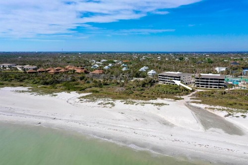Sanddollar #A202 - image 46