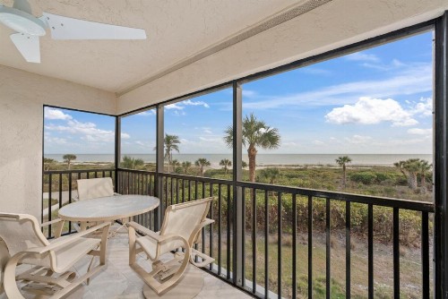 Sanddollar #A202 - image 5
