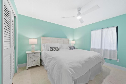 Sanddollar #A202 - image 50