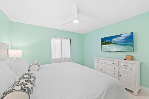 Sanddollar #A202 - image 6