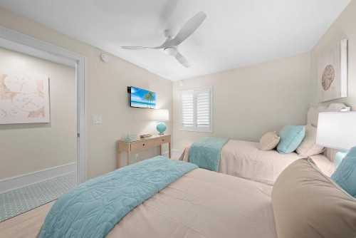 Sanddollar #C302 - image 41