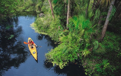 Sanibel Island Beach Resort - image 12
