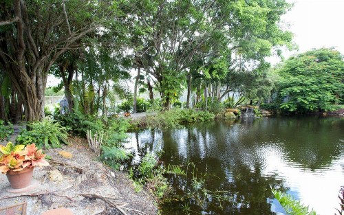 Sanibel Island Beach Resort - image 14