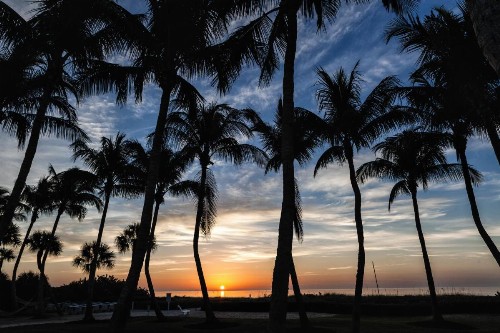 Sanibel Island Beach Resort - image 5