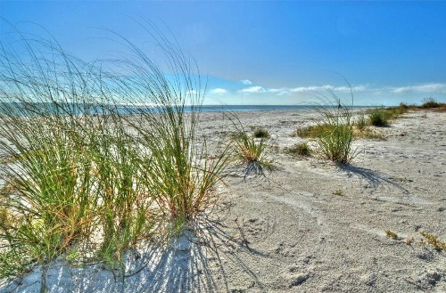 Seahorse Cottages - Adults Only - image 28
