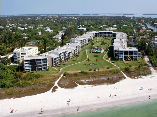Loggerhead 424 - image 7