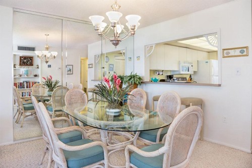 Loggerhead 424 - image 8