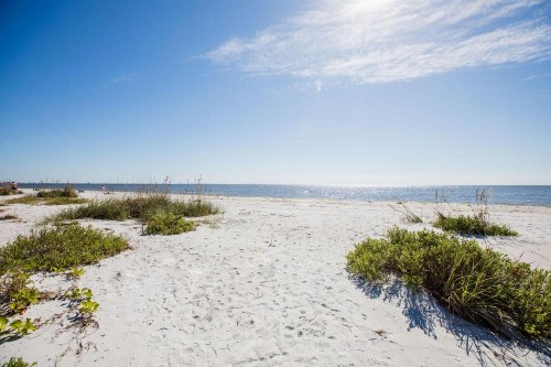 COQUINA 3C - image 19