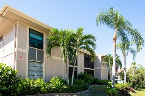 COQUINA 3C - image 25
