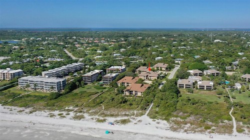 COQUINA 3C - image 3