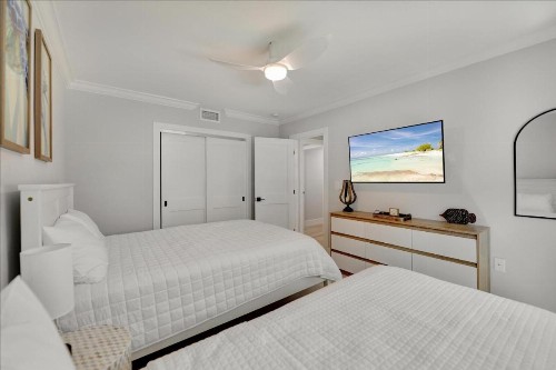 COQUINA 3C - image 7