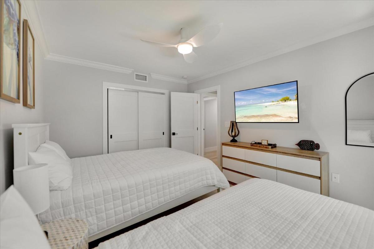 COQUINA 3C - image 7