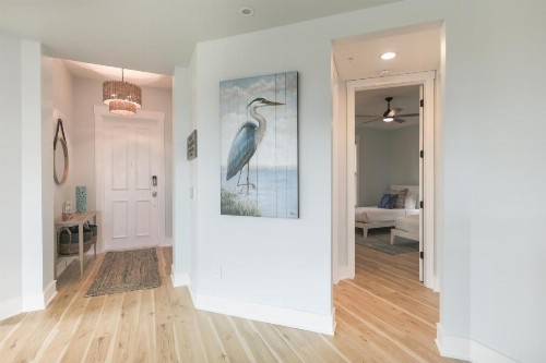IBIS AT THE SANCTUARY A302 - image 2