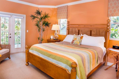 Donax - Captiva Beach Villas - image 3