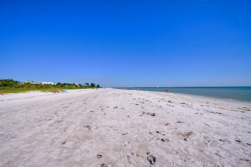 Coquina 1F - image 9