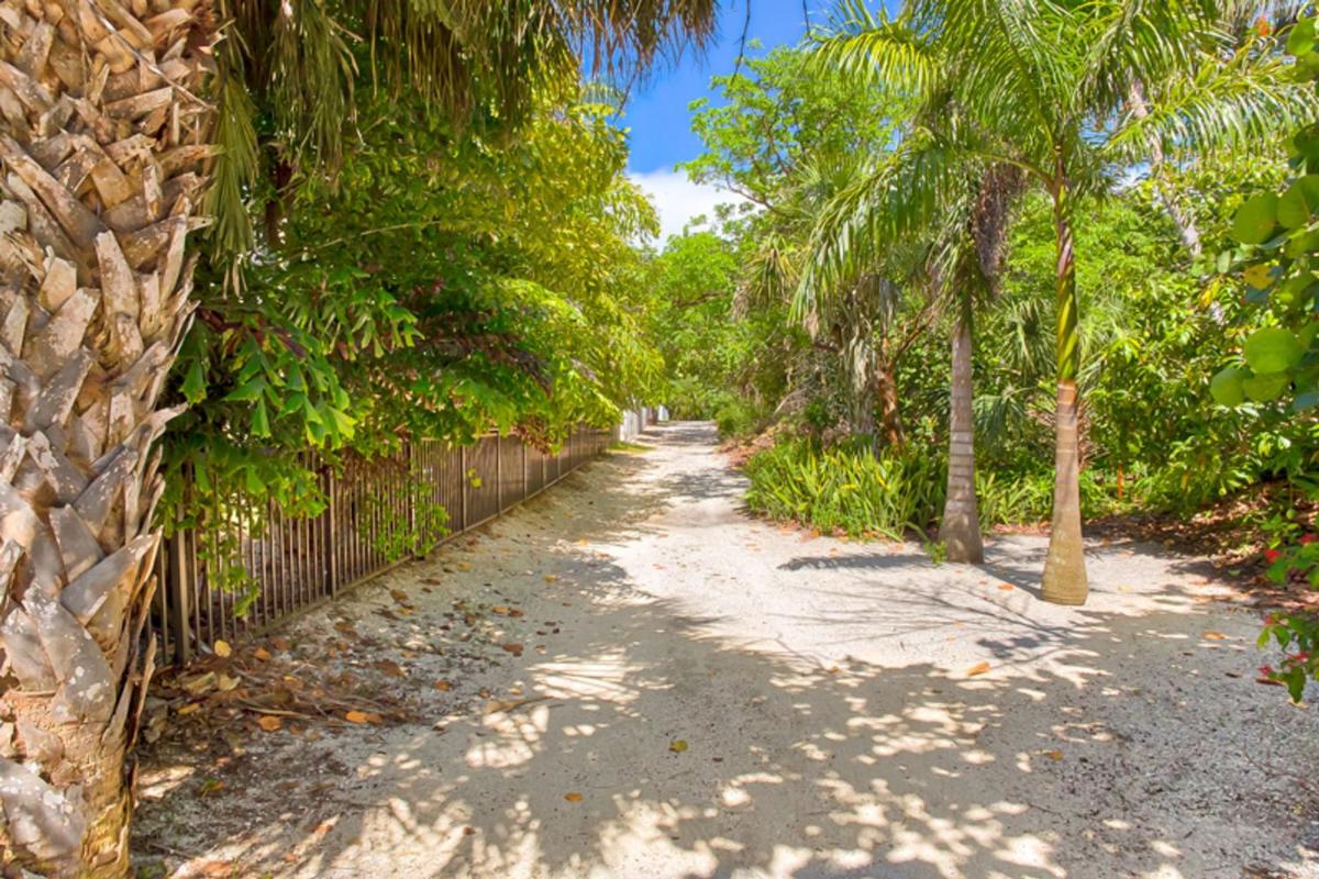 Baybarlyn - image 6