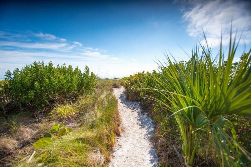Golden Beach 2 - image 7