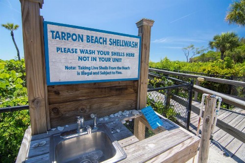 Tarpon Beach 301 - image 9