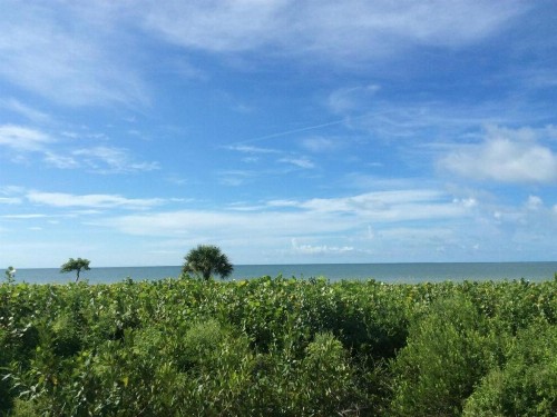 Tarpon Beach 301 - image 11