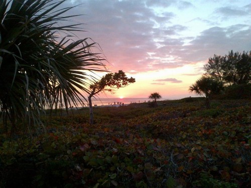 Tarpon Beach 301 - image 6