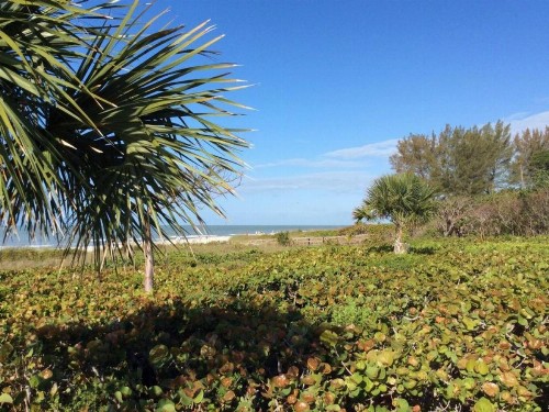 Tarpon Beach 301 - image 7
